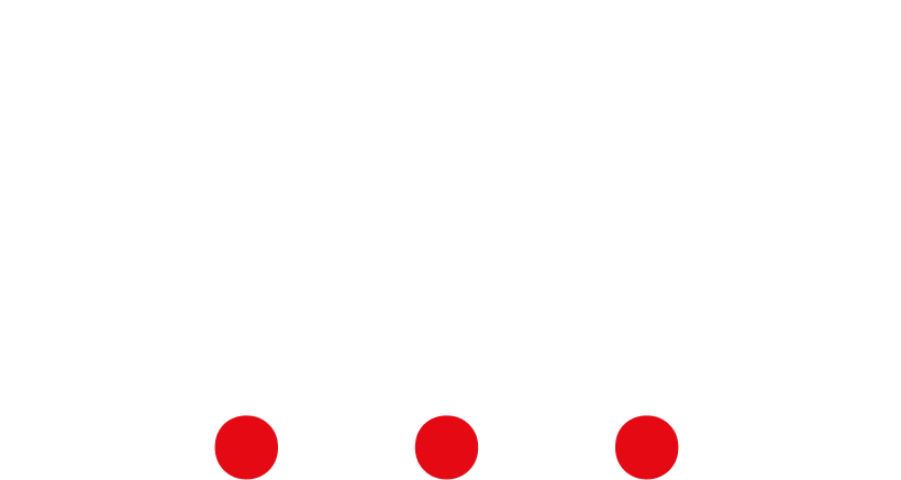 Partner logo 6